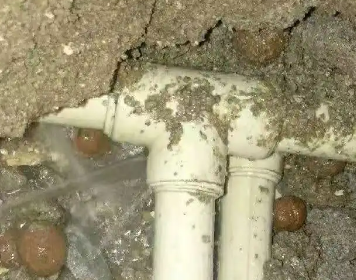 保定测漏水多少钱