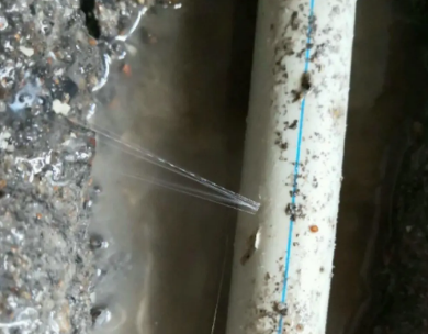 保定测漏水哪家好